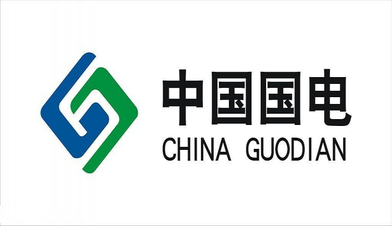 国电公司91国内产香蕉检测现场