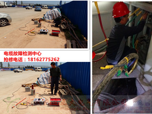 91国内产香蕉抢修中心小图.jpg