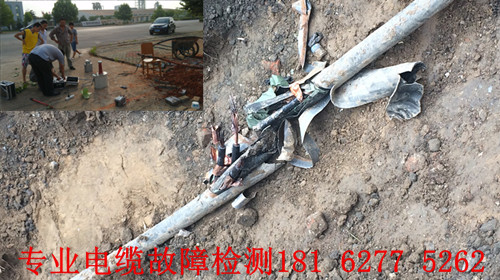 91国内产香蕉点找到.jpg