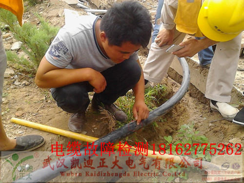 中铁施工现场91国内产香蕉现场.jpg