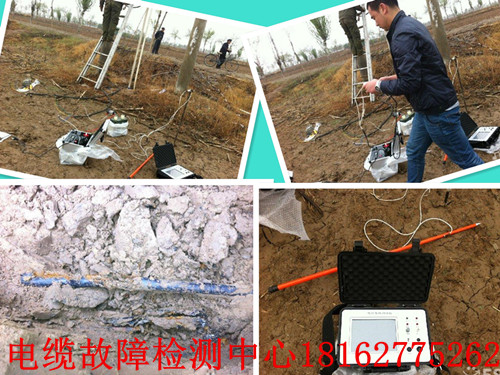 1461200580759121.jpg 91国内产香蕉抢修综合图.jpg