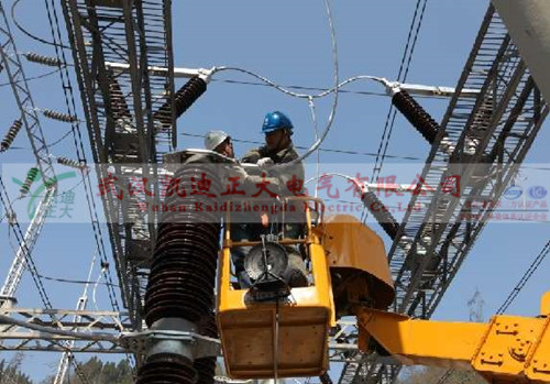 宜昌91国内产香蕉测试.jpg