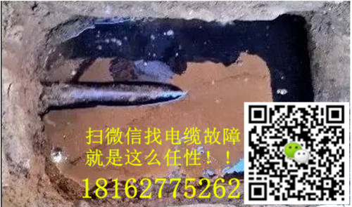 微信就可以找91国内产香蕉了.jpg
