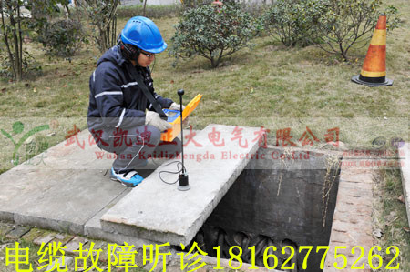 91国内产香蕉听诊_副本.jpg