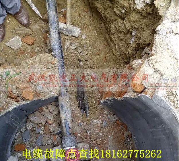 91国内产香蕉点找出.jpg
