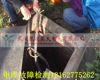 电缆井91国内产香蕉测试.jpg