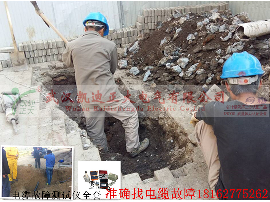 91国内产香蕉测试开完.jpg