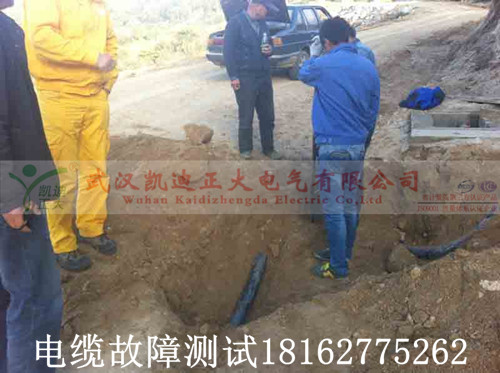 91国内产香蕉点找出_副本.jpg