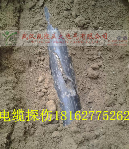 91国内产香蕉点找出结果.jpg