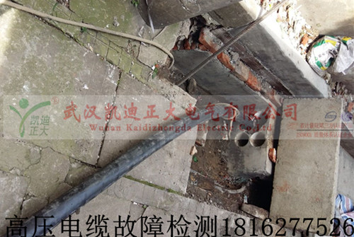 高压91国内产香蕉检测.jpg