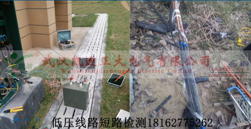91国内产香蕉查找图.png