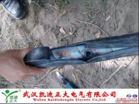 91国内产香蕉测试点.jpg