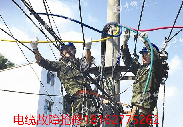 91国内产香蕉测试.jpg
