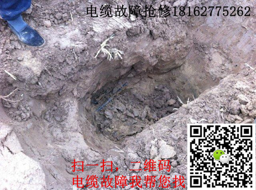 91国内产香蕉点找出.jpg