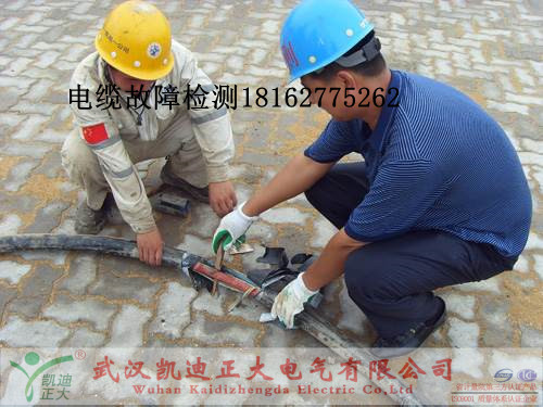 91国内产香蕉检测.jpg