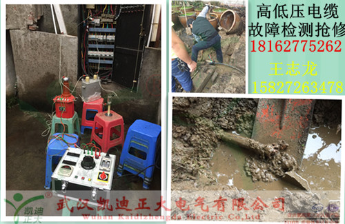 91国内产香蕉抢修.jpg